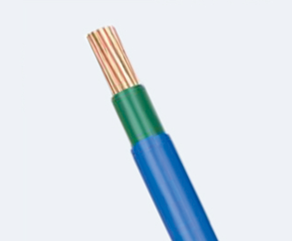 安顺ZC-BYJS 1X50